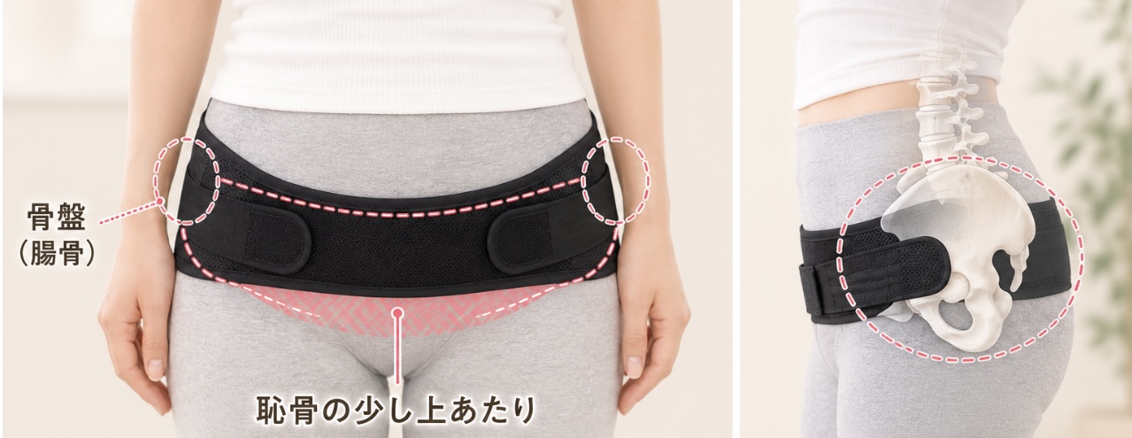 骨盤ベルトの正しい使い方